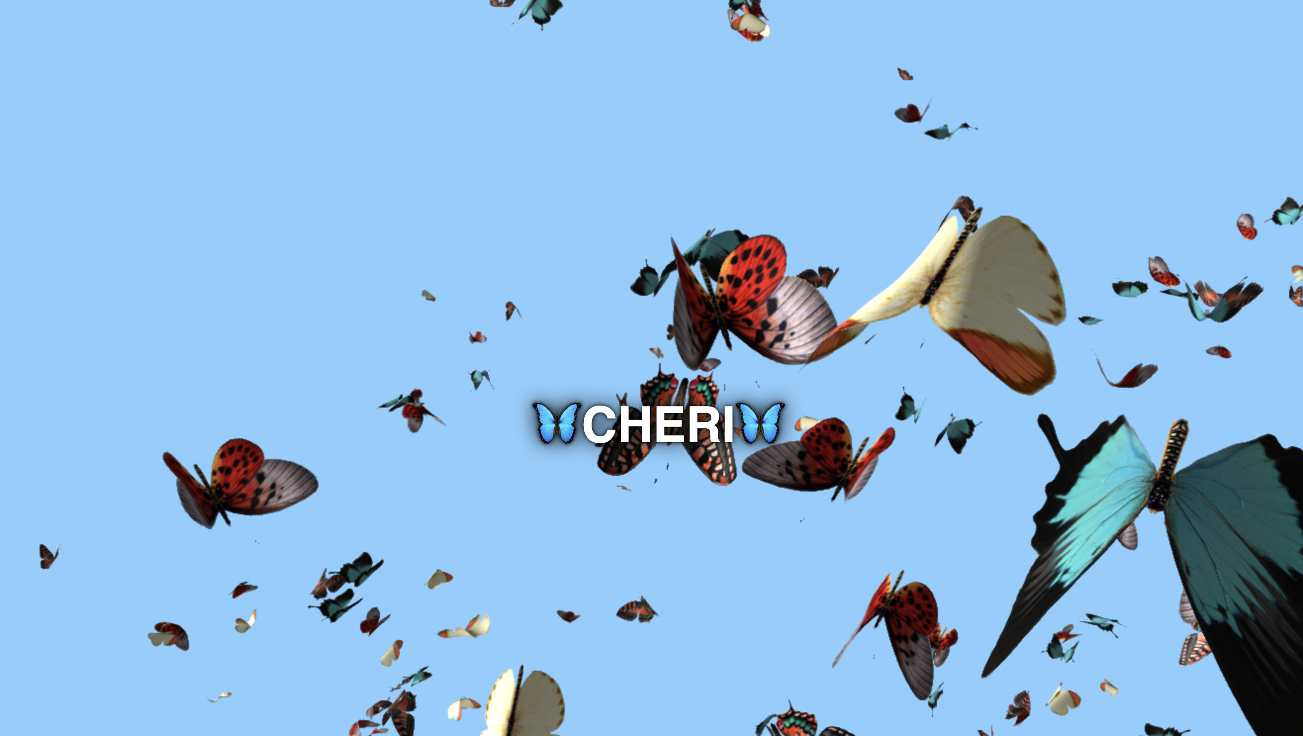 Butterfly Animation